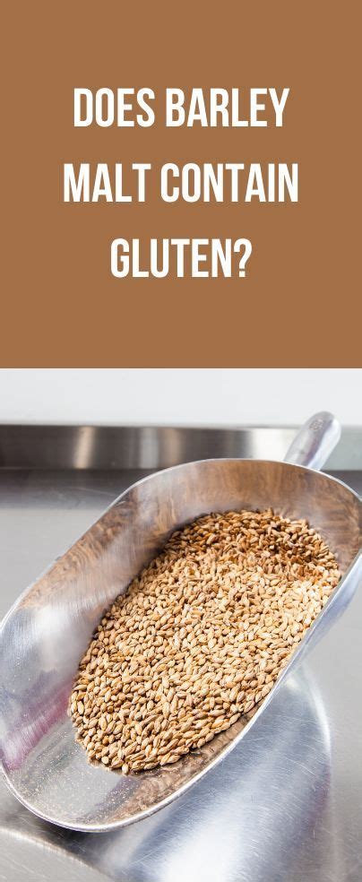 malt barley gluten free